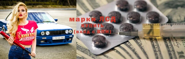 индика Нея