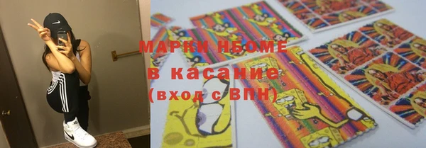 индика Нея