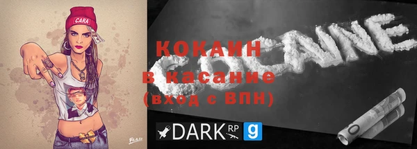индика Нея