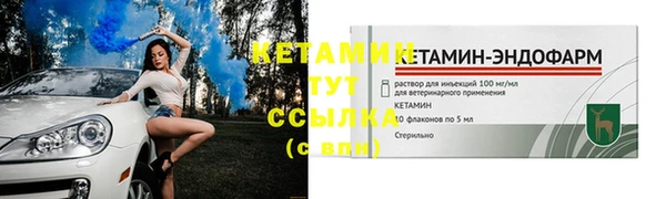 индика Нея