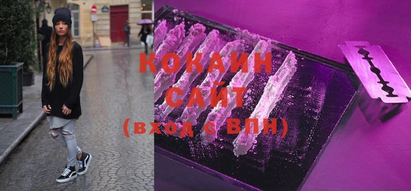 индика Нея