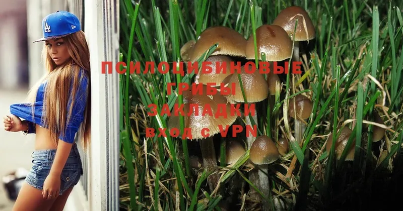 Галлюциногенные грибы Cubensis  Белоярский 